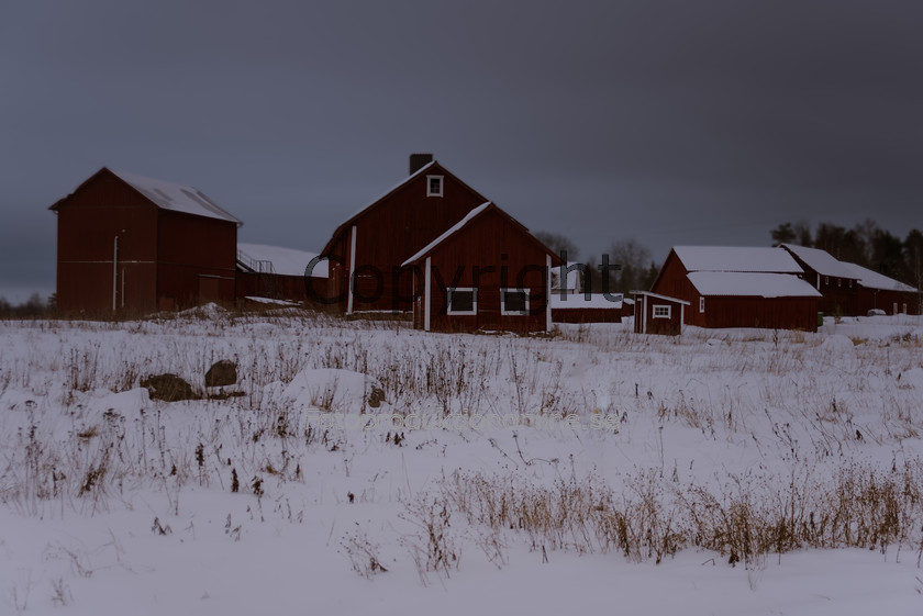 swDSC 9376-1860t 
 Swedish Dairy Farm 
 Keywords: Farm Buildings, Wooden House, Farm House, Barn.